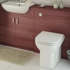 Vitra S20 Back To Wall Toilet 540mm Projection - Soft Close Seat -VITRA SHOP 17511003 5